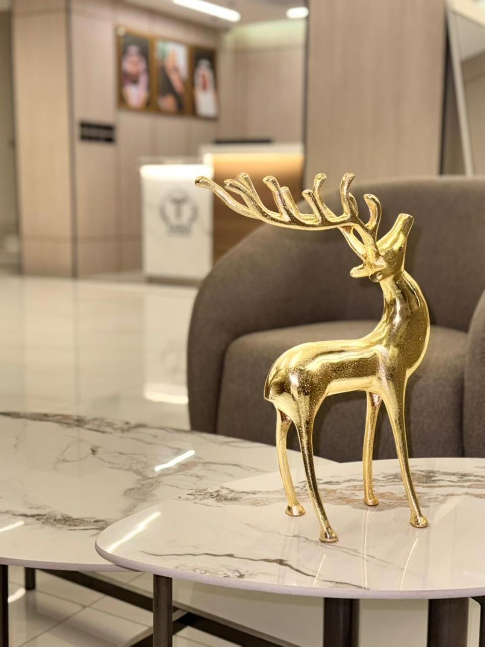 تارا الفندقية Apartment Najran
